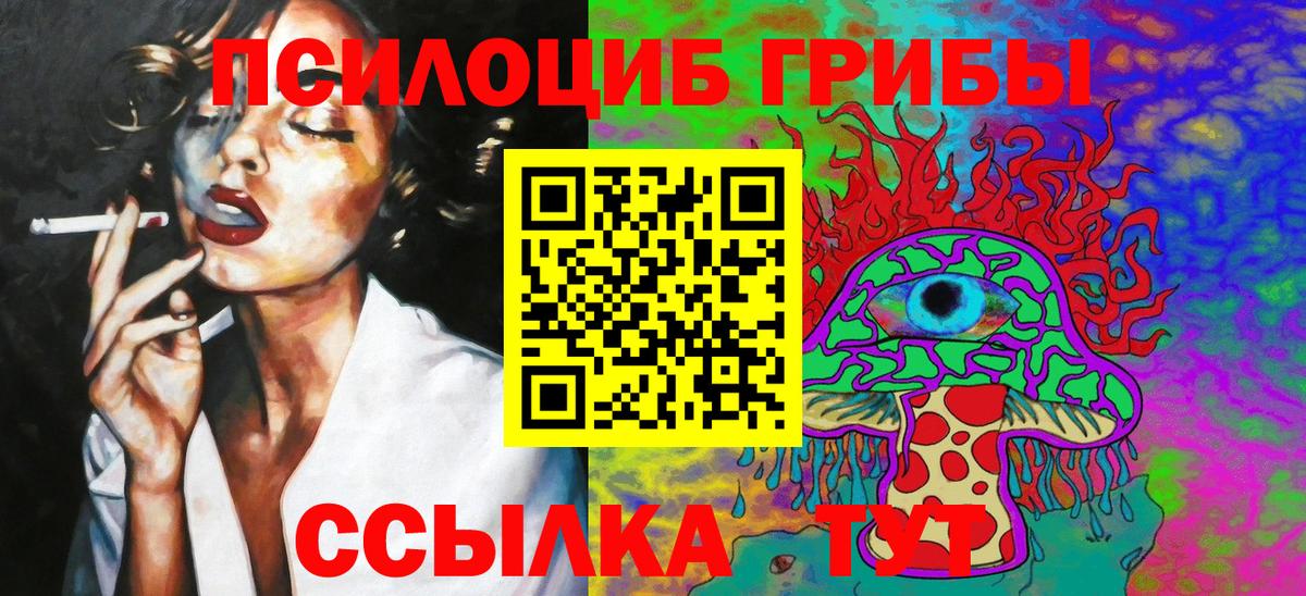 Псилоцибиновые грибы мицелий  Псилоцибиновые грибы MAGIC MUSHROOMS  Вышний Волочёк  Вход с VPN 