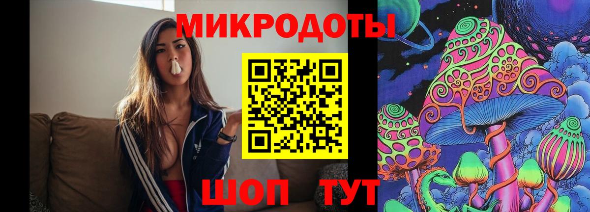 Псилоцибиновые грибы Psilocybe Вышний Волочёк